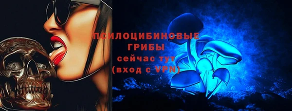 соль ск Бутурлиновка