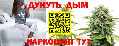 молекула духа Дубна