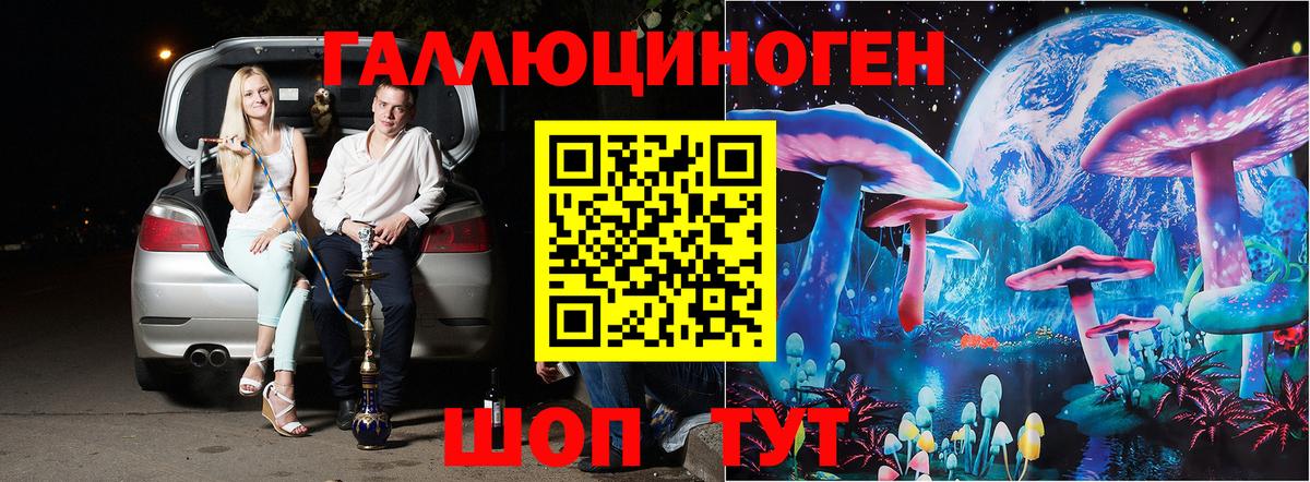 Псилоцибиновые грибы Cubensis Кохма