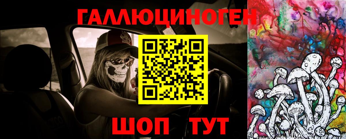 ГАШ Кохма