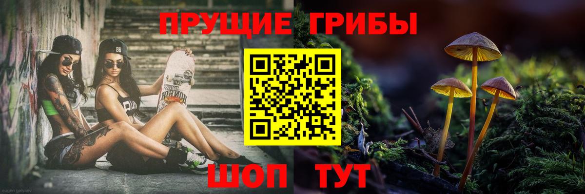 Галлюциногенные грибы MAGIC MUSHROOMS  Вход с VPN  Кохма 
