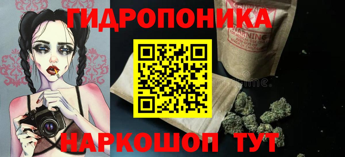 Канабис SATIVA & INDICA Кохма